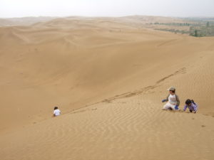 中国　緑の協力隊　クブチ砂漠沙漠植林